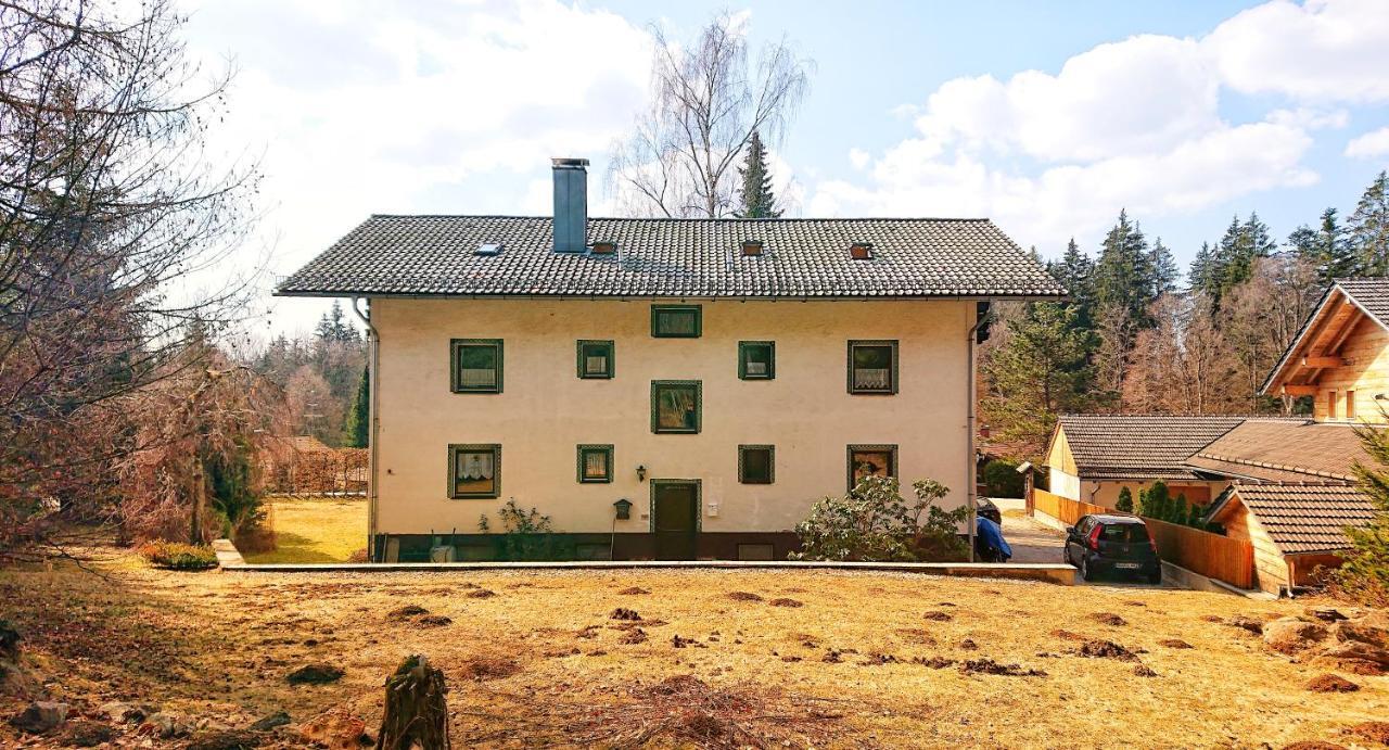 Arber Apartments - Zwieslerwaldhaus Линдберг Экстерьер фото